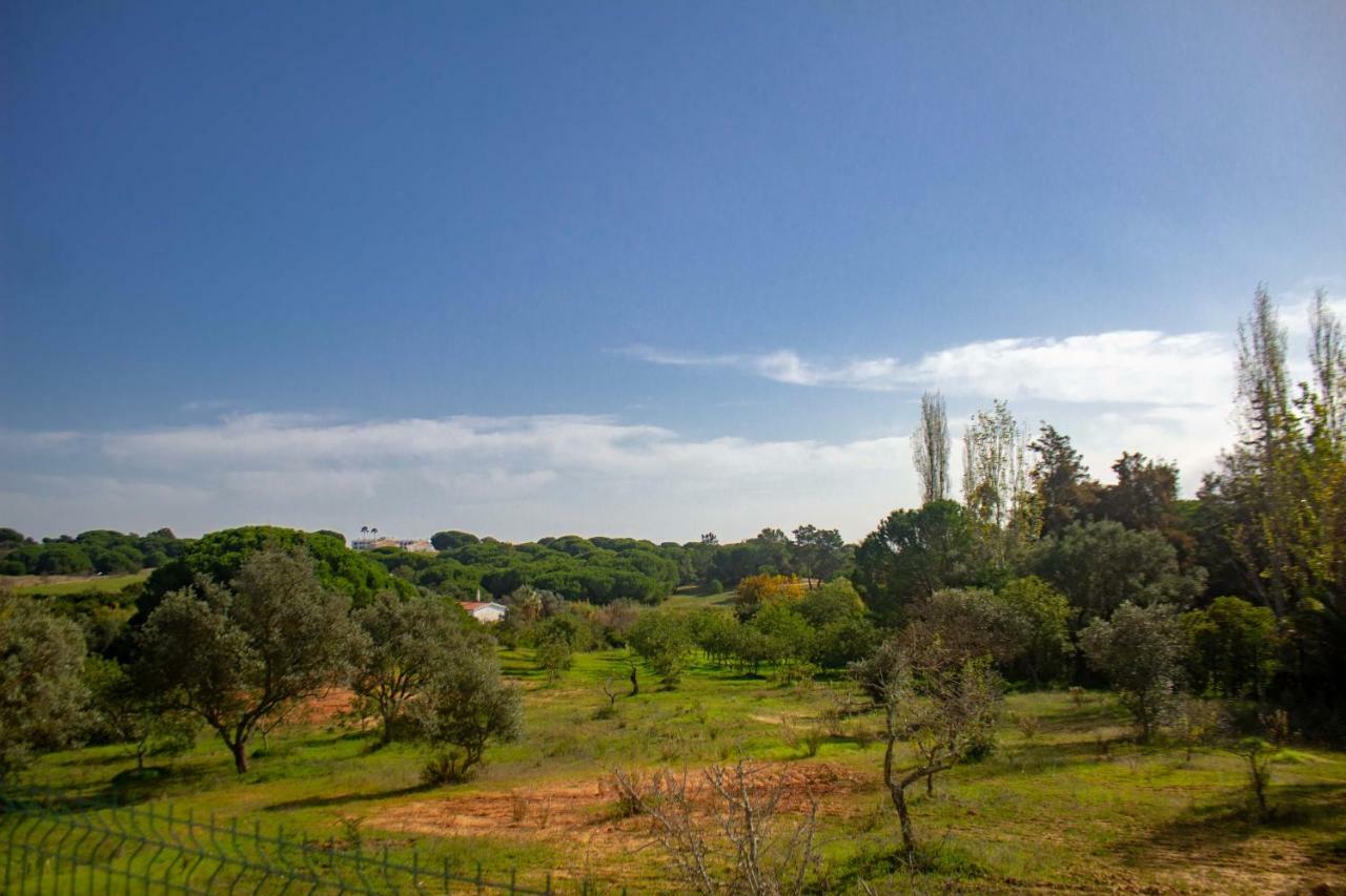 Yvonne,private Pool,private Parking 1,7 Km From The Beatch Villa Albufeira